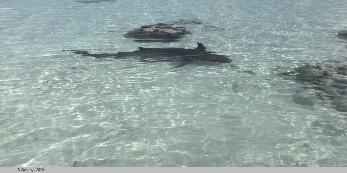 Fakarava