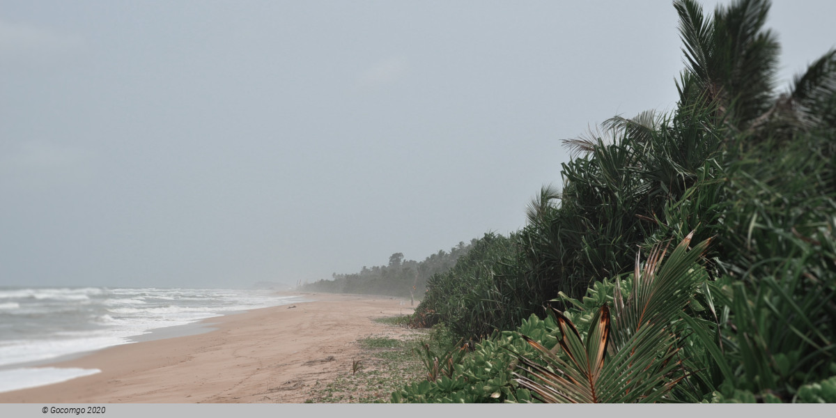 Bentota