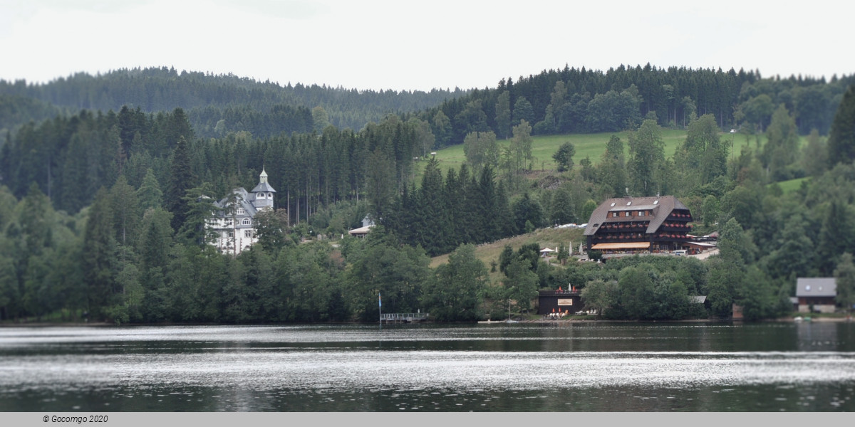 Black Forest