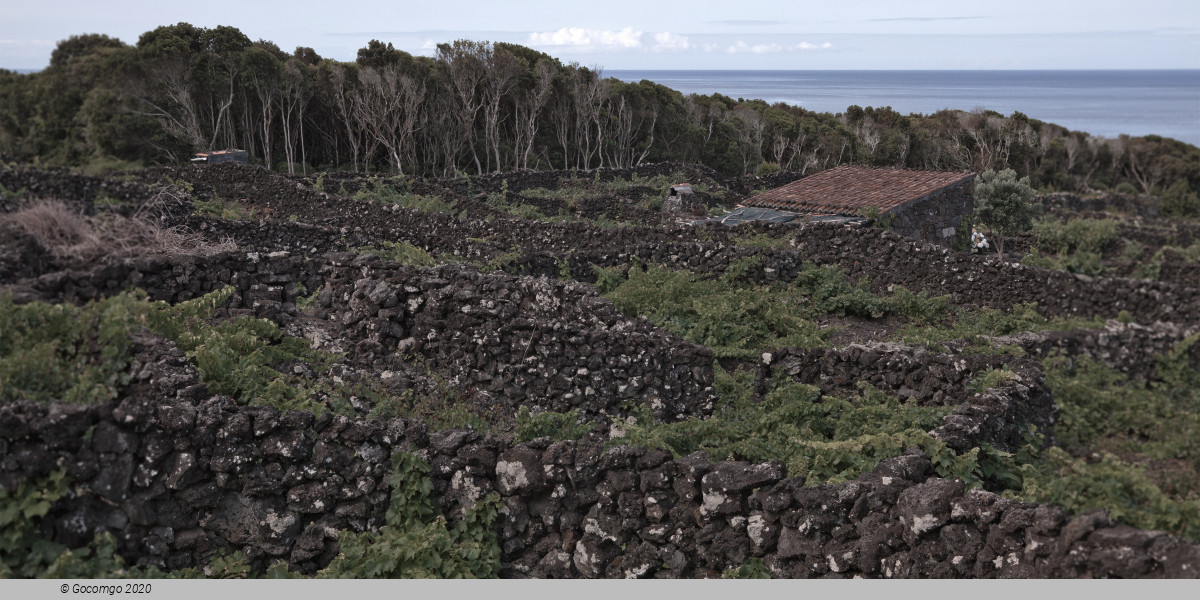 Pico Island