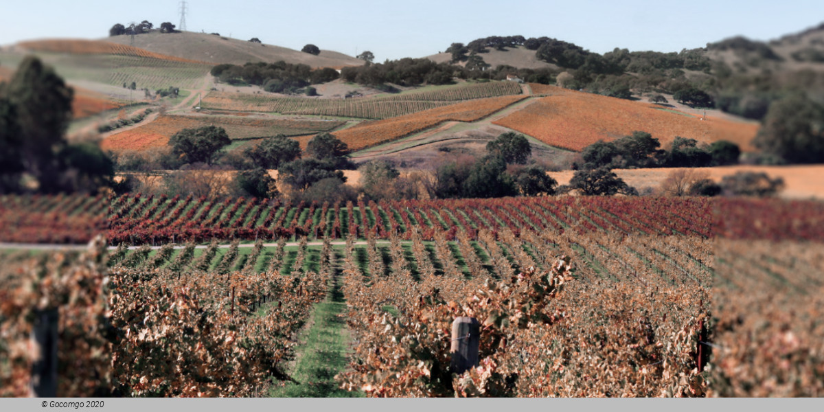 Napa and Sonoma