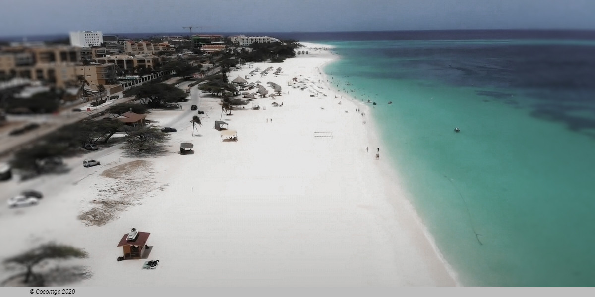 Palm - Eagle Beach