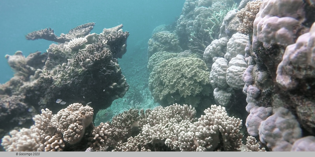 Great Barrier Reef