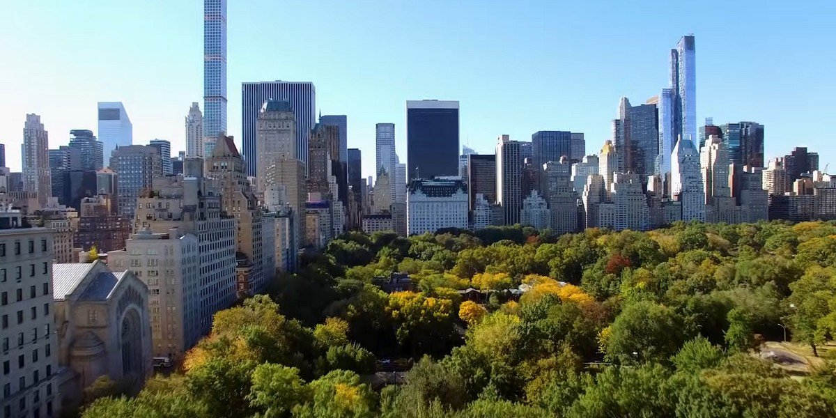 Half-Day Guided Tour by Highlights of New York