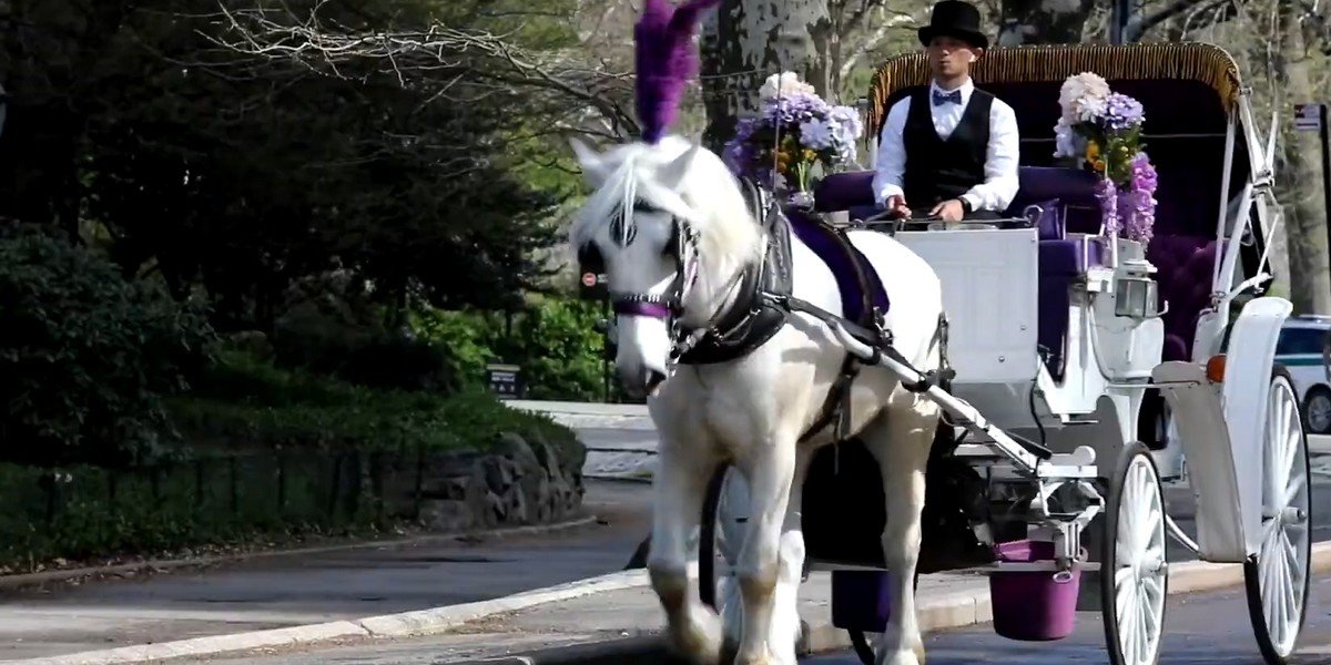 Central Park Horse Carriage Ride (since 1979 ™)