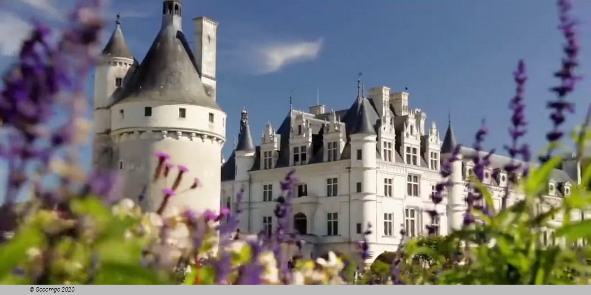 Loire Valley Castles Tour from Paris and Wine Tasting Loire Valley Castles Tour from Paris and Wine Tasting