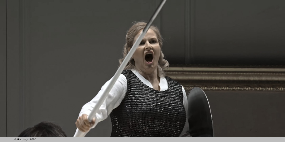 Das Rheingold. Wagner’s Ring Cycle in Concert, photo 2