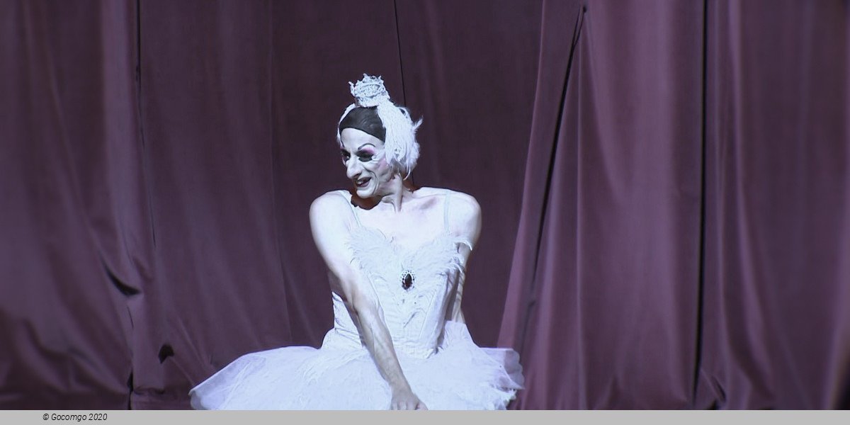 Les Ballets Trockadero de Monte Carlo, photo 2