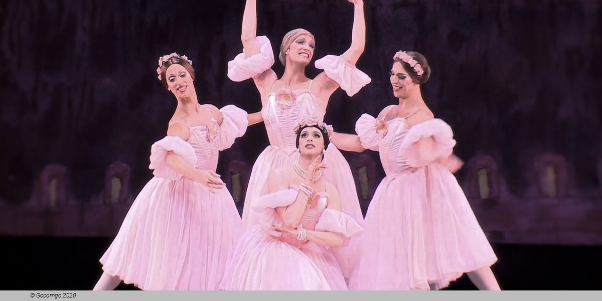 Les Ballets Trockadero de Monte Carlo, photo 4