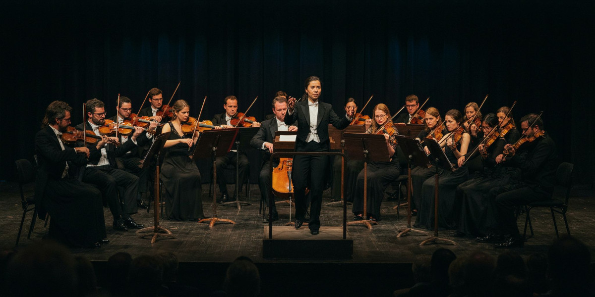 Brahms 1, photo 1