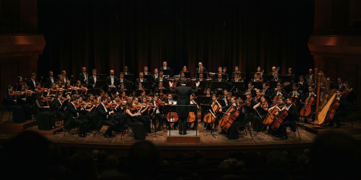 Strauss’s Ein Heldenleben, photo 1