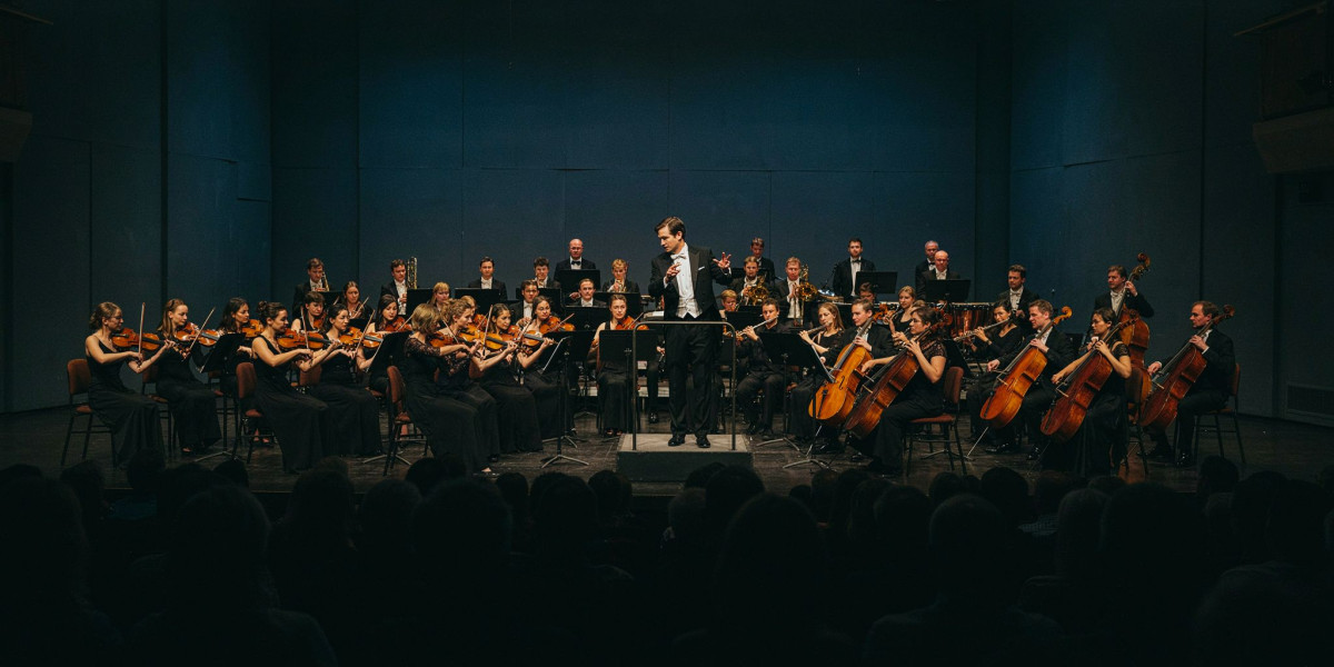 Music for Wellbeing - Night Tracks Live, photo 1