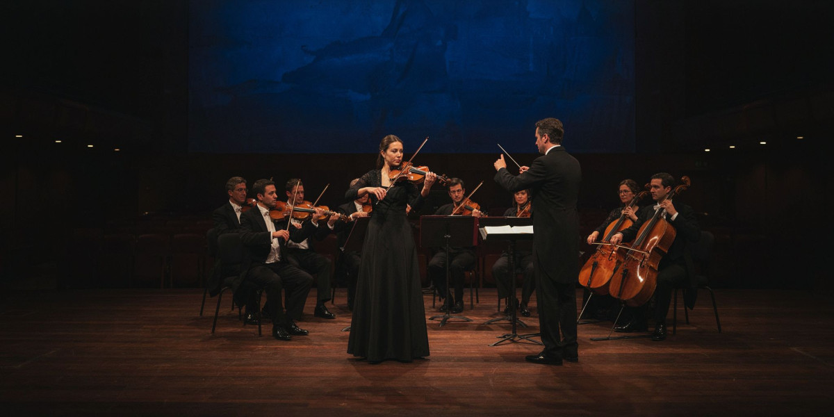 Hilary Hahn plays Mozart, photo 1