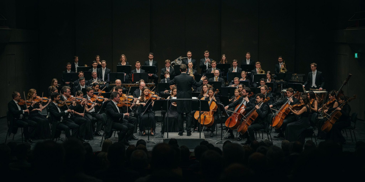 Beethoven Symphony No 5 & The Rite of Spring, photo 1