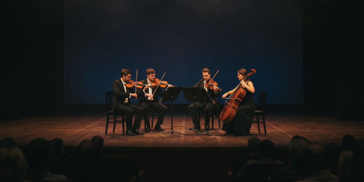 Javus Quartett, photo 1