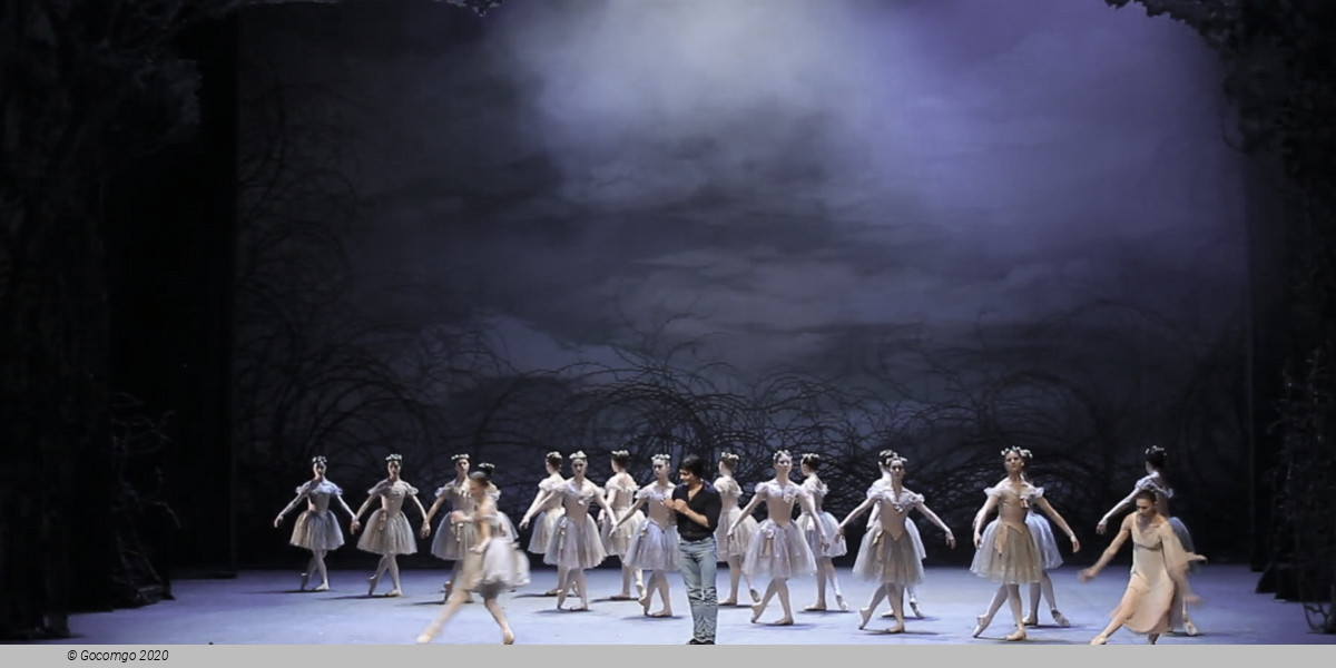 The World of John Neumeier 2026, photo 4