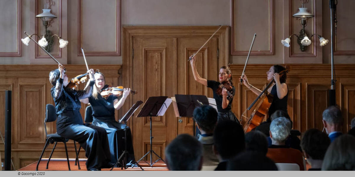 Winter Festival Baden-Baden 2026, photo 3