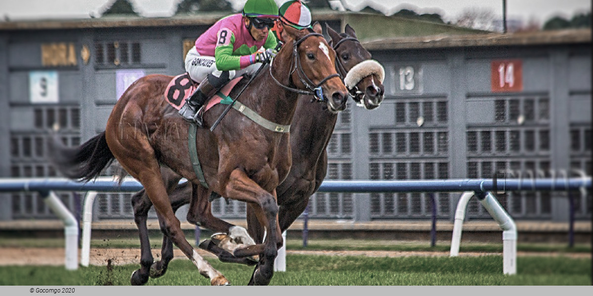 Hipódromo de San Isidro schedule & tickets Hipódromo de San Isidro schedule & tickets