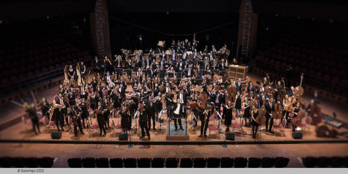 Halle aux Grains de Toulouse schedule & tickets Halle aux Grains de Toulouse schedule & tickets