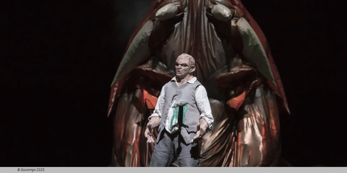 Siegfried, photo 3