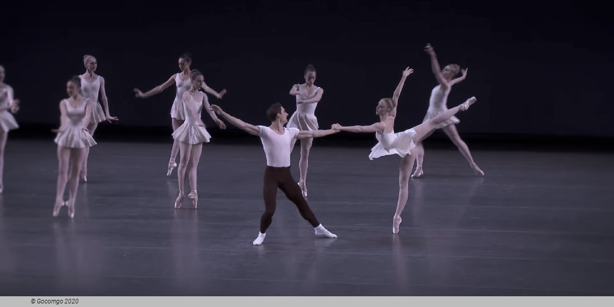 Concerto Barocco, photo 11
