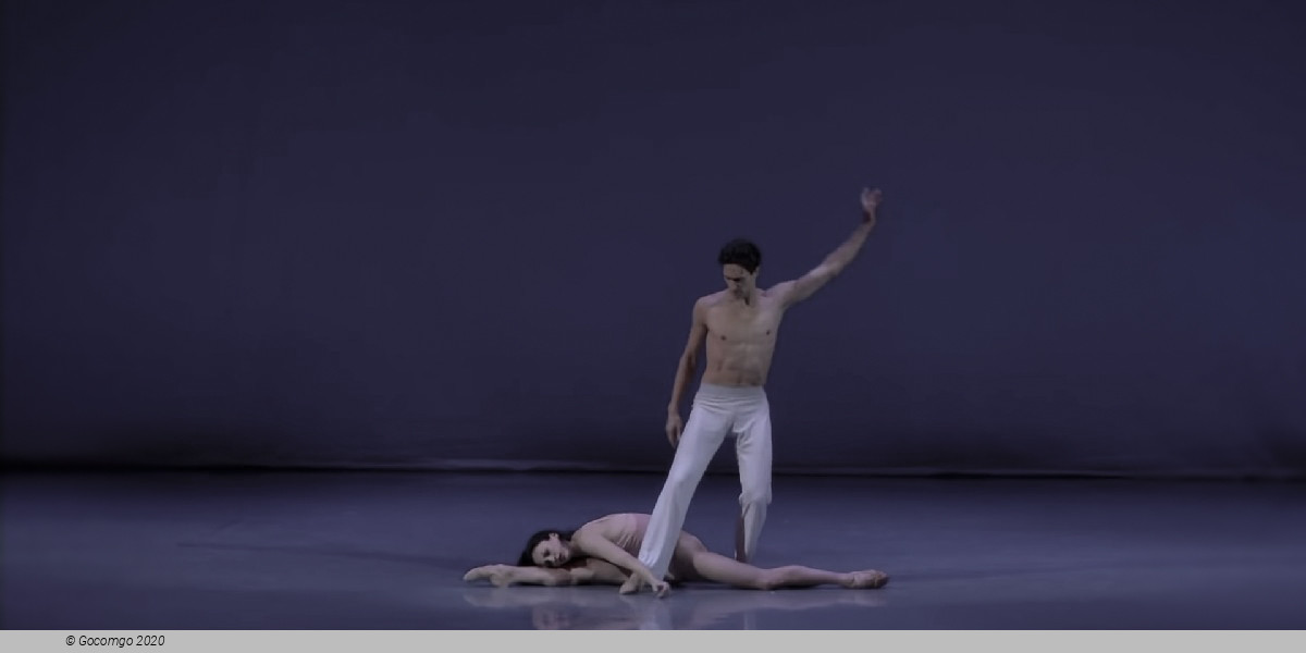 Scene 2 from the modern ballet "After the Rain Pas de deux", photo 47