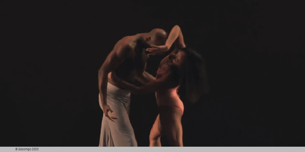 Scene 4 from the modern ballet "After the Rain Pas de deux", photo 49