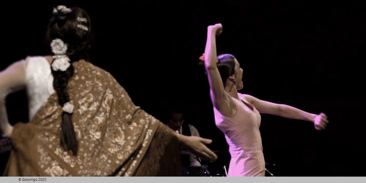 Scene 3 from the Gran Gala Flamenco show