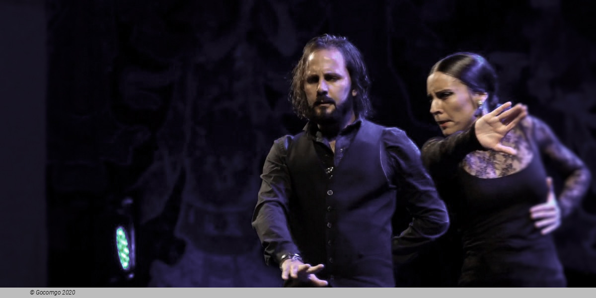 Scene 4 from the Gran Gala Flamenco show