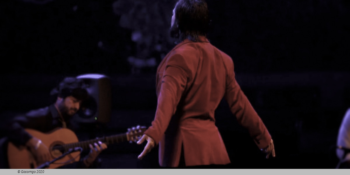 Scene 5 from the Gran Gala Flamenco show