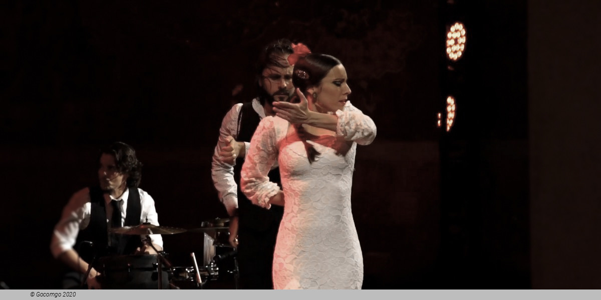 Scene 6 from the Gran Gala Flamenco show