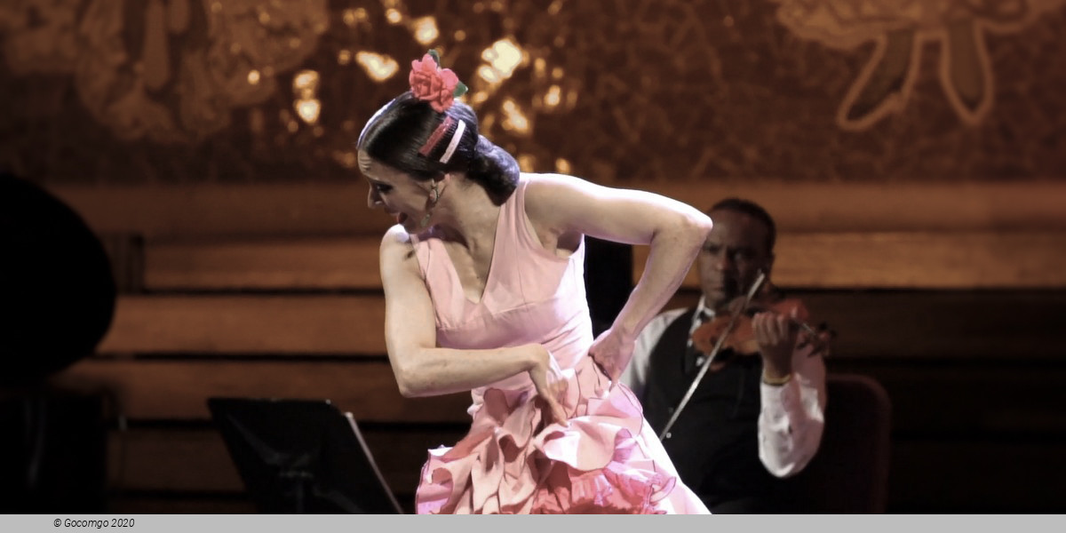 Scene 7 from the Gran Gala Flamenco show