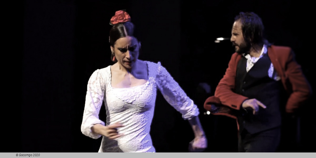 Scene 8 from the Gran Gala Flamenco show