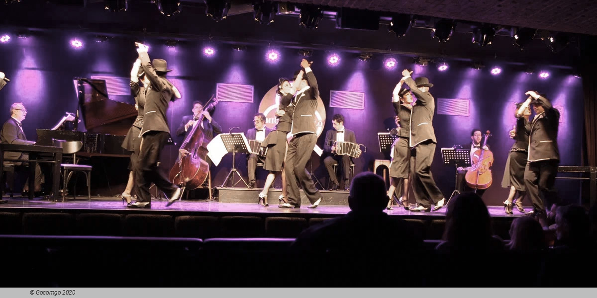 TANGO SHOW AT MICHELANGELO LEGEND, photo 1