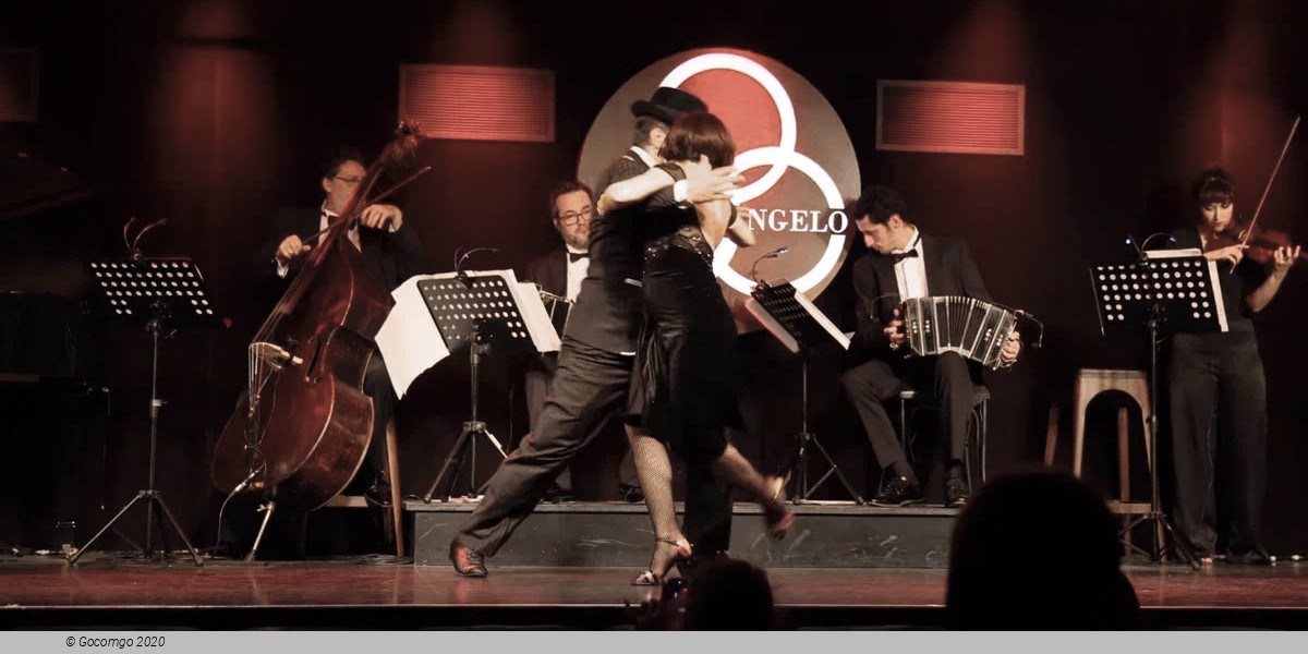TANGO SHOW AT MICHELANGELO LEGEND, photo 2