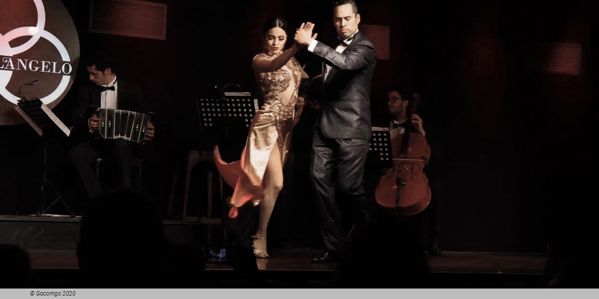 TANGO SHOW AT MICHELANGELO LEGEND, photo 4