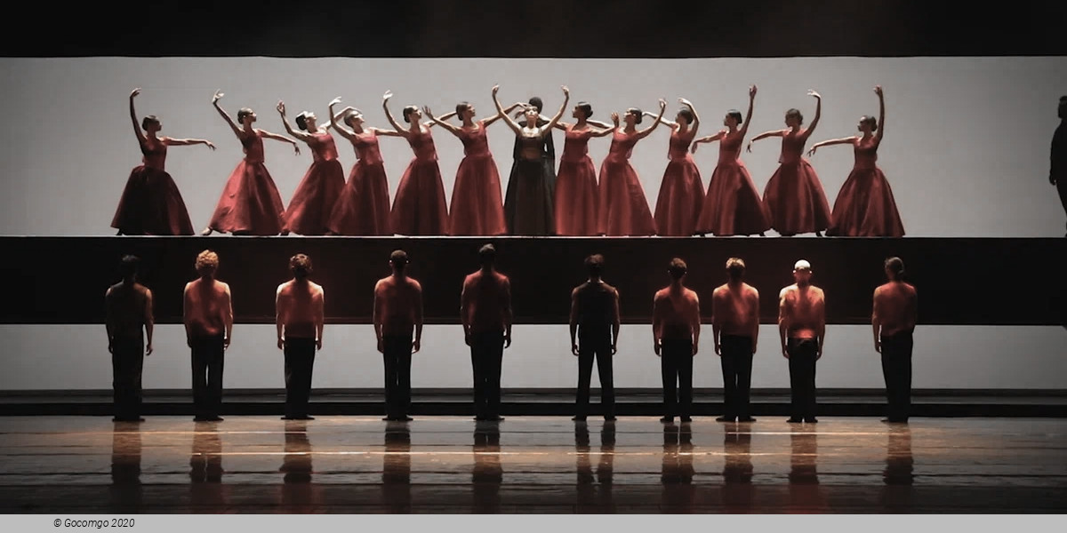 An evening of modern ballets "Background"