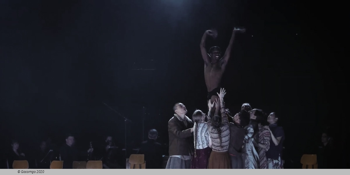 Light – Bach Dances
