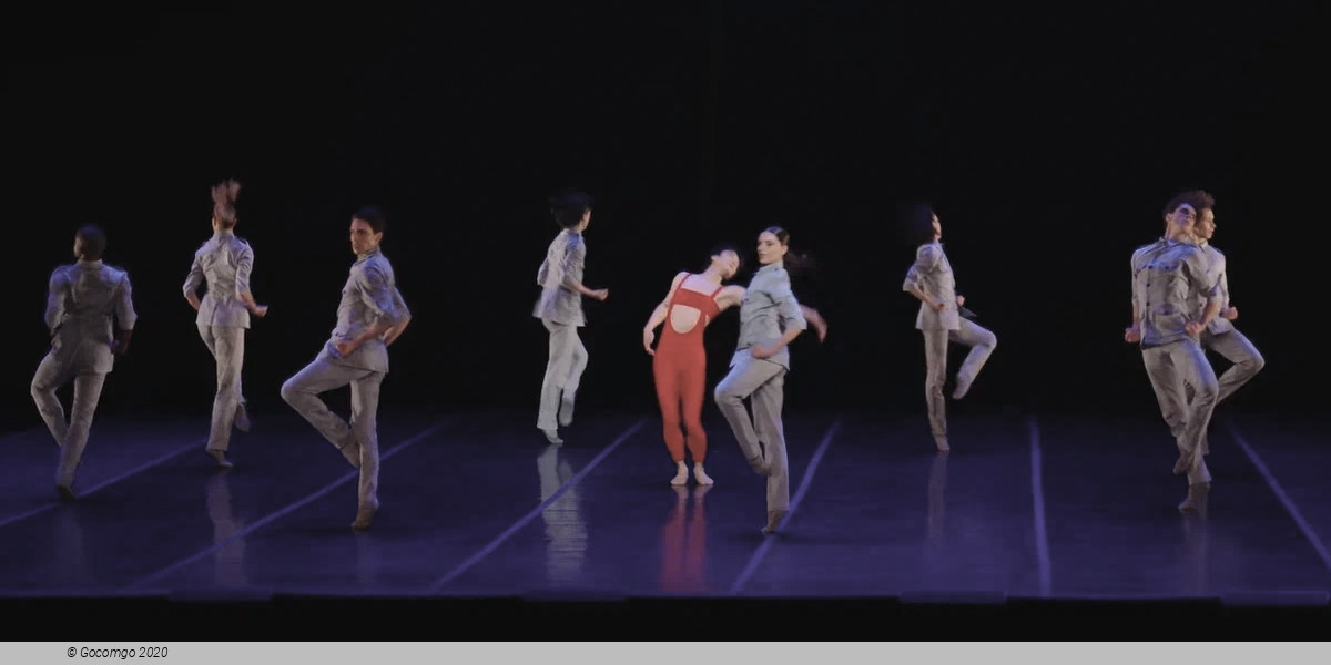 The Firebird, photo 2