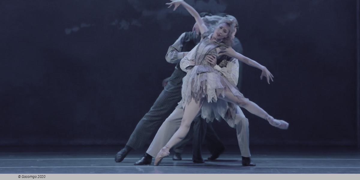 The Australian Ballet: Oscar, photo 5