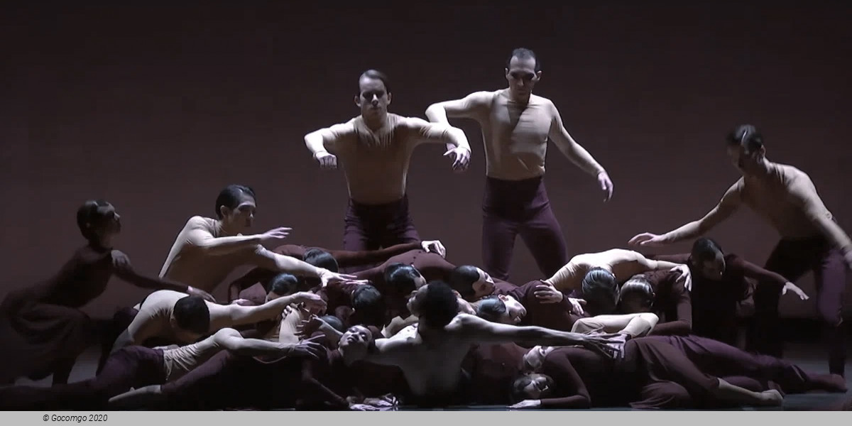 Alvin Ailey American Dance Theater, photo 6