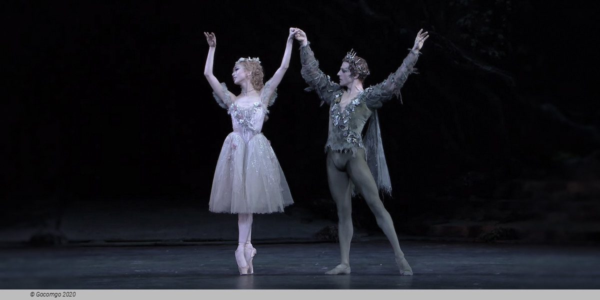 Scene 2 from the ballet "The Dream", photo 3