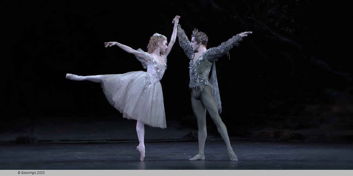 Scene 3 from the ballet "The Dream", photo 4