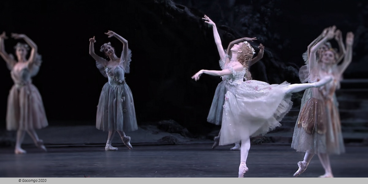 Scene 5 from the ballet "The Dream", photo 5