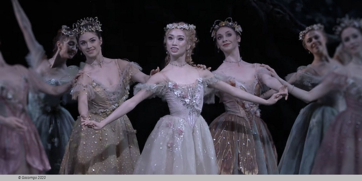 Scene 6 from the ballet "The Dream", photo 6