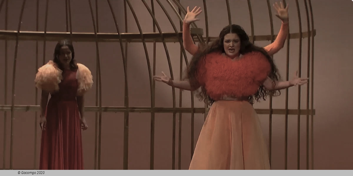 Bodas de sangre