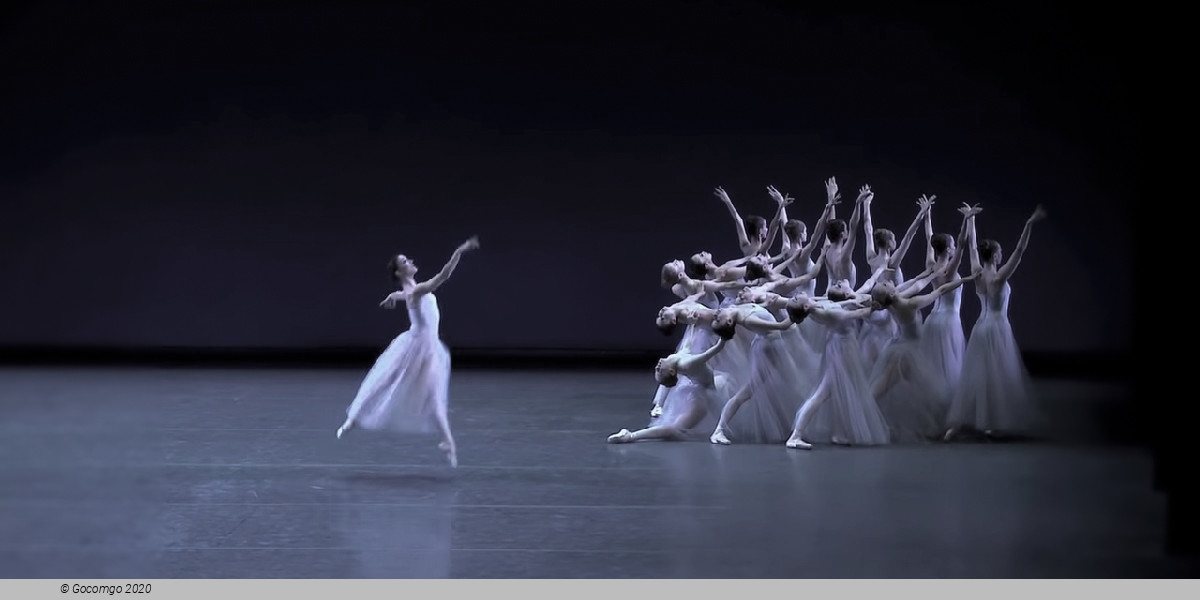 Scene 4 from the ballet "Serenade", photo 10