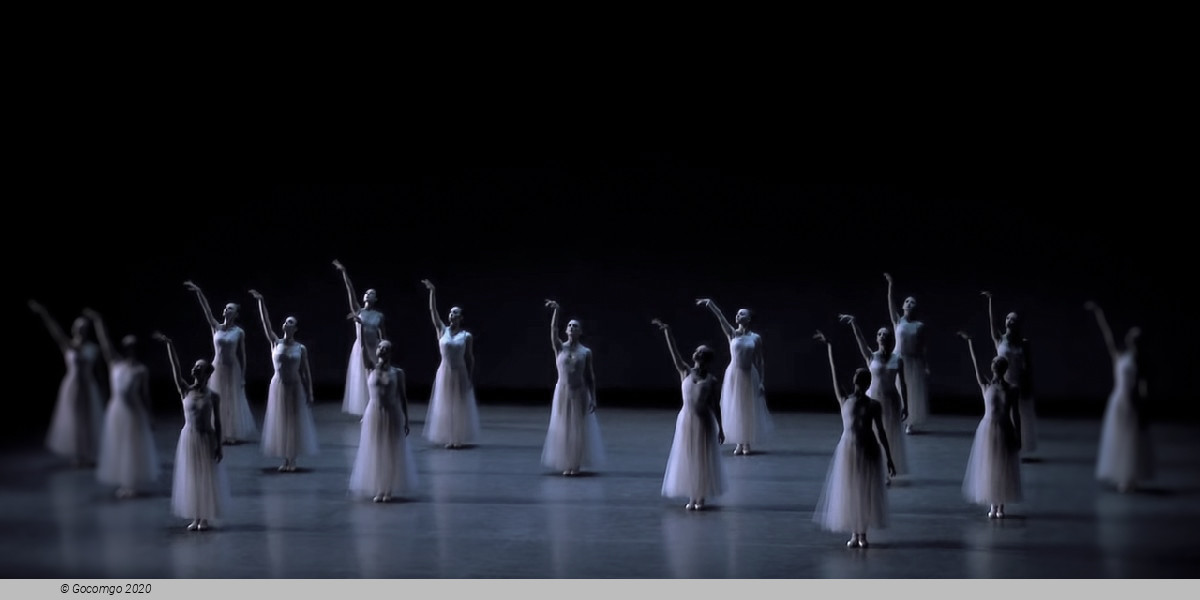 Scene 6 from the ballet "Serenade", photo 12