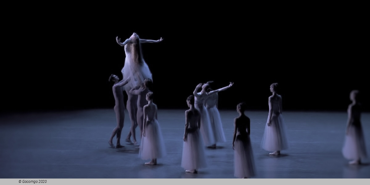 Scene 8 from the ballet "Serenade", photo 14