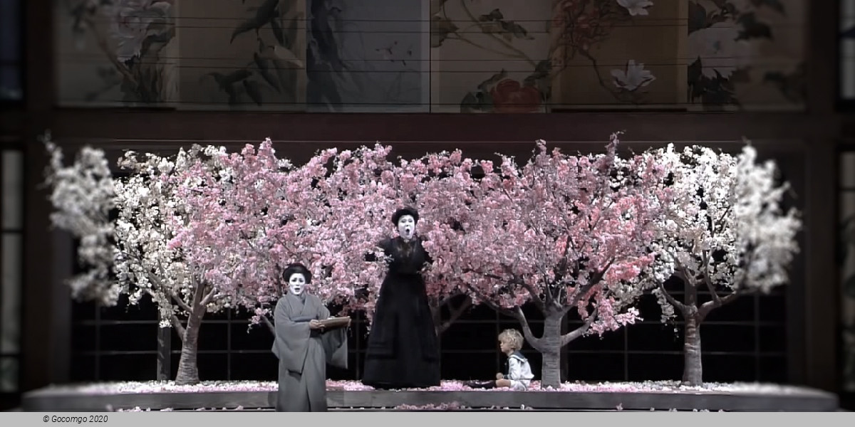 Madama Butterfly, photo 2